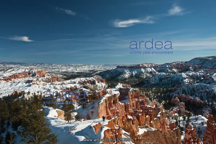 : USA, Utah, Bryce Canyon National Park. Bryce : USA, Utah, Bryce Canyon National Park. Bryce