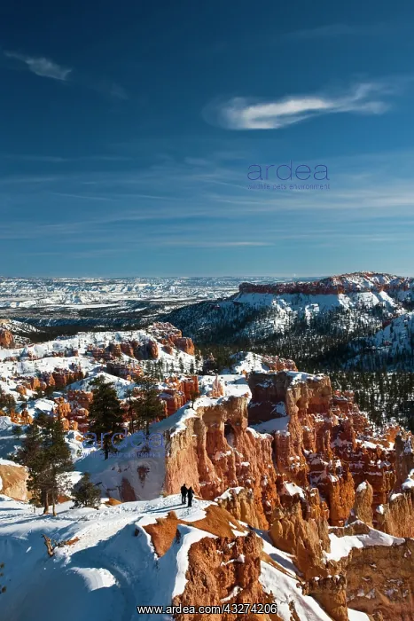 : USA, Utah, Bryce Canyon National Park. Bryce : USA, Utah, Bryce Canyon National Park. Bryce