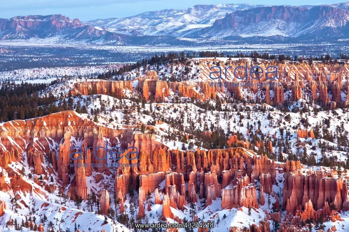  : USA, Utah, Bryce Canyon National Park. Bryce