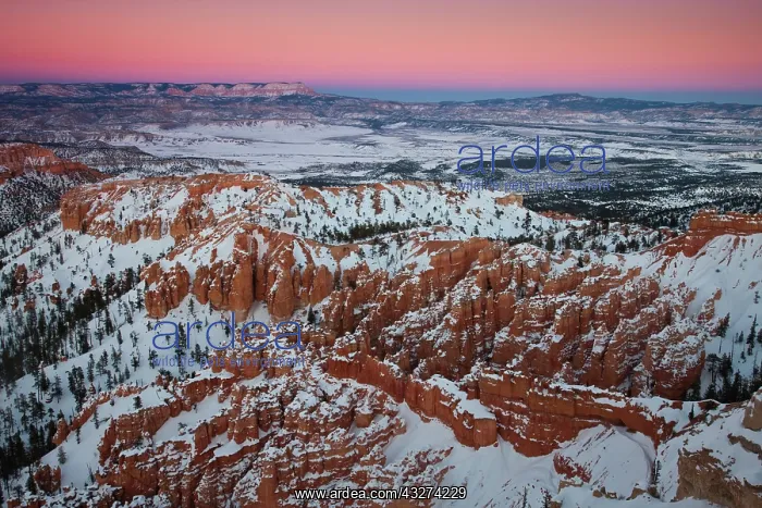 : USA, Utah, Bryce Canyon National Park. Bryce : USA, Utah, Bryce Canyon National Park. Bryce
