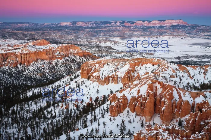 : USA, Utah, Bryce Canyon National Park. Bryce : USA, Utah, Bryce Canyon National Park. Bryce
