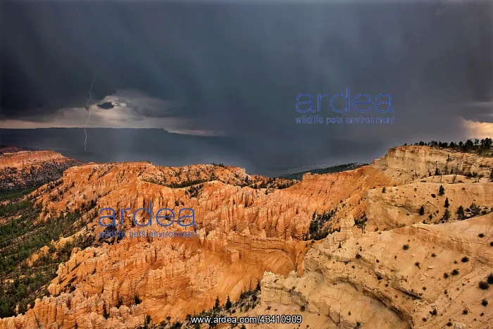 : USA, Utah, Bryce Canyon National Park. Sunrise on : USA, Utah, Bryce Canyon National Park. Sunrise on