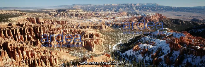 : USA, Utah, Bryce Canyon National Park, View : USA, Utah, Bryce Canyon National Park, View