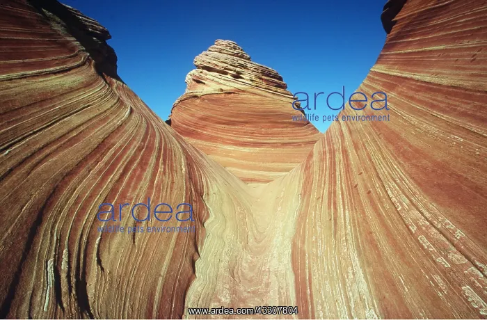 : USA, UTAH - Cross-bedded Navajo Sandstone : USA, UTAH - Cross-bedded Navajo Sandstone