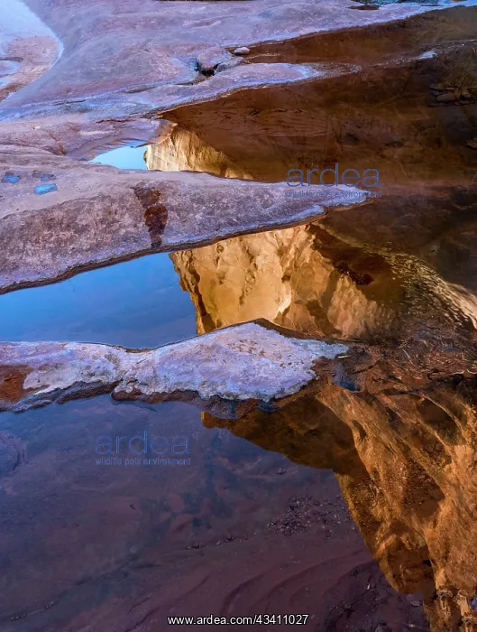 : USA, Utah. Desert sandstone reflections, Hunter Canyon : USA, Utah. Desert sandstone reflections, Hunter Canyon