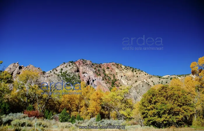 : USA, Utah, Elsinore, Pahvant Range : USA, Utah, Elsinore, Pahvant Range
