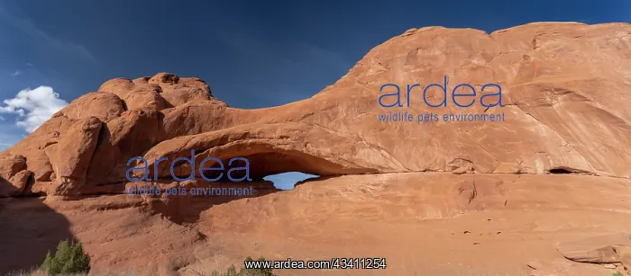 : USA, Utah. Eye of the Whale Arch, Arches National Park : USA, Utah. Eye of the Whale Arch, Arches National Park