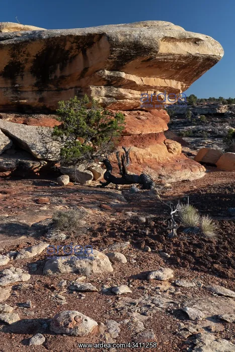 : USA, Utah. Geological formations near Caprock Ruin : USA, Utah. Geological formations near Caprock Ruin