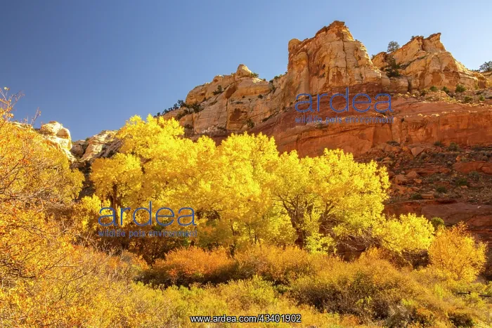  : USA, Utah, Grand Staircase Escalante National Monument