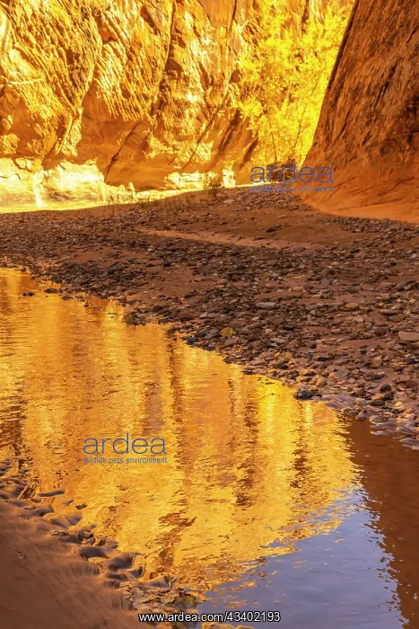 : USA, Utah, Grand Staircase Escalante National Monument : USA, Utah, Grand Staircase Escalante National Monument