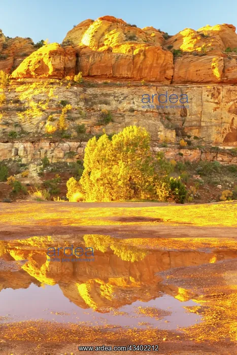: USA, Utah, Grand Staircase Escalante National Monument : USA, Utah, Grand Staircase Escalante National Monument