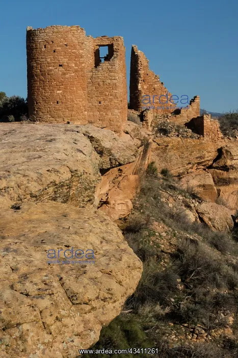 : USA, Utah. Hovenweep Castle, Hovenweep National Monument : USA, Utah. Hovenweep Castle, Hovenweep National Monument