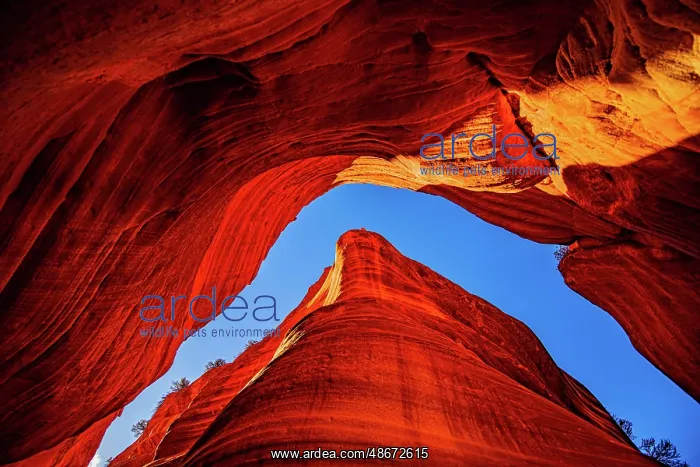 : USA, Utah, Kanab, Peekaboo Slot Canyon, Skylight : USA, Utah, Kanab, Peekaboo Slot Canyon, Skylight