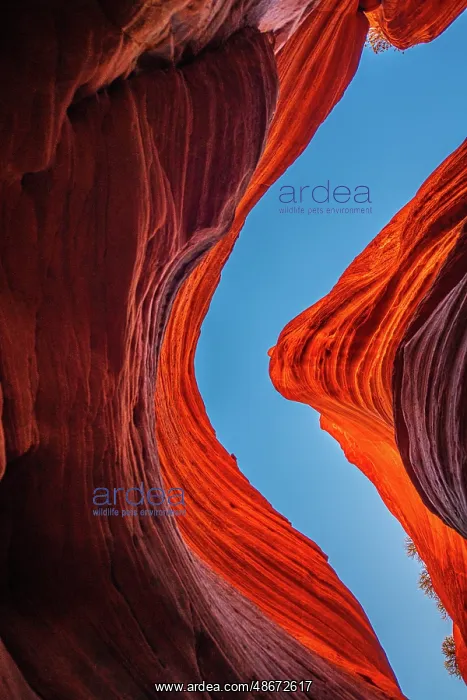 : USA, Utah, Kanab, Peekaboo Slot Canyon, Skylight : USA, Utah, Kanab, Peekaboo Slot Canyon, Skylight