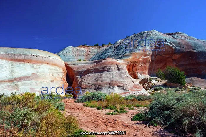 : USA, Utah, Kanab, White House Campground and Trailhead Area : USA, Utah, Kanab, White House Campground and Trailhead Area