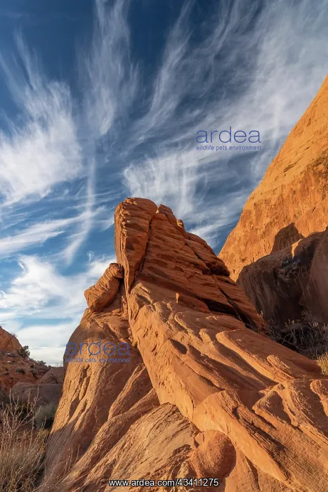 : USA, Utah. Mare's Tails (Cirrus uncinus) and sandstone : USA, Utah. Mare's Tails (Cirrus uncinus) and sandstone