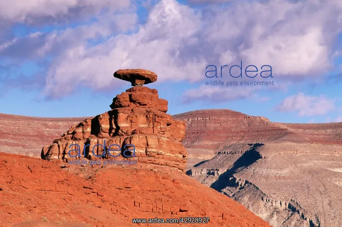  : USA - Utah, Mexican Hat, Erosion Formation