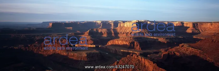 : USA, Utah, Moab, Dead Horse Point State : USA, Utah, Moab, Dead Horse Point State