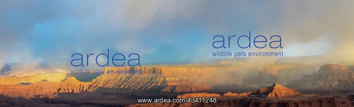 : USA, Utah. Panoramic. Sunset light breaking through : USA, Utah. Panoramic. Sunset light breaking through