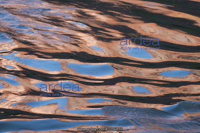 : USA, Utah. Reflection of sandstone cliffs and blue : USA, Utah. Reflection of sandstone cliffs and blue