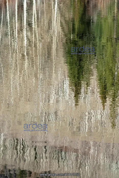 : USA, Utah. Reflections on Warner Lake, Manti-La : USA, Utah. Reflections on Warner Lake, Manti-La