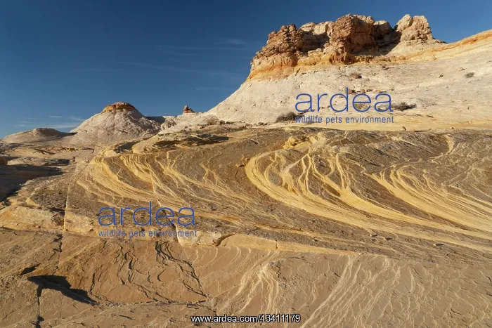  : USA, Utah. Sandstone formation and cross-bedded