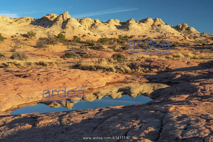 : USA, Utah. Sandstone formation and cross-bedded : USA, Utah. Sandstone formation and cross-bedded