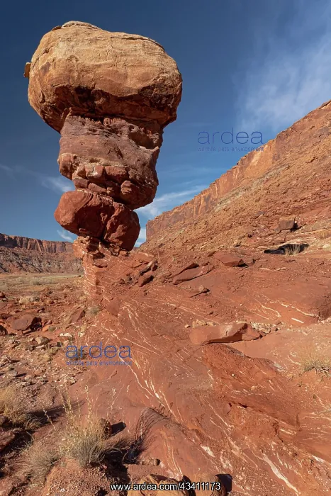 : USA, Utah. Sandstone formation near Kane Creek Canyon, Moab : USA, Utah. Sandstone formation near Kane Creek Canyon, Moab
