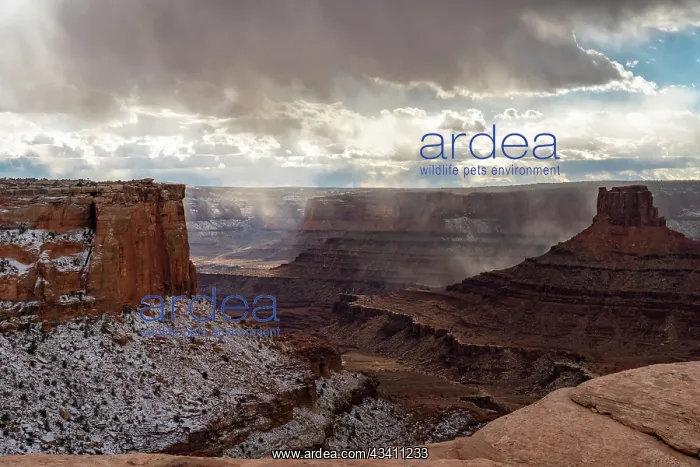 : USA, Utah. Stormy canyons from the Bighorn Overlook : USA, Utah. Stormy canyons from the Bighorn Overlook