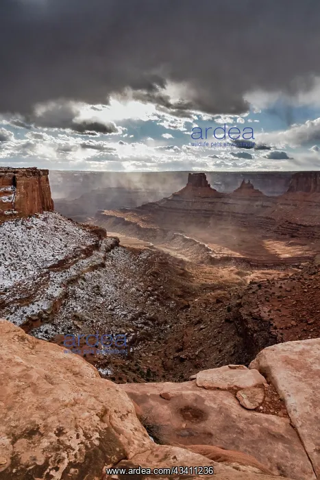 : USA, Utah. Stormy canyons from the Bighorn Overlook : USA, Utah. Stormy canyons from the Bighorn Overlook