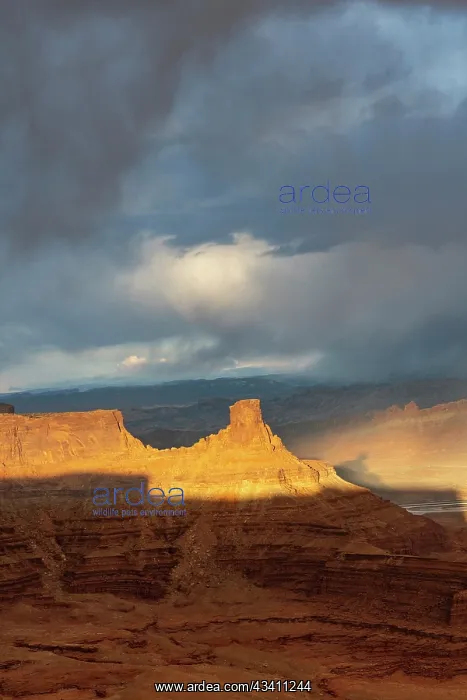 : USA, Utah. Sunset light breaking through desert : USA, Utah. Sunset light breaking through desert