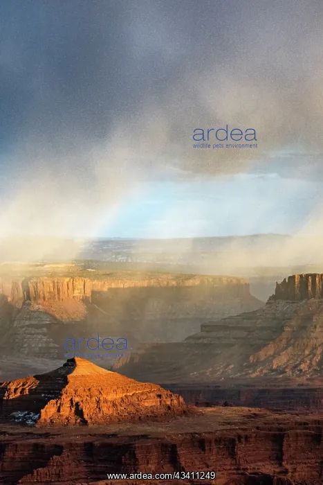 : USA, Utah. Sunset light breaking through desert : USA, Utah. Sunset light breaking through desert