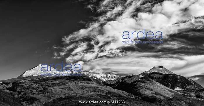 : USA, Utah. View of the snow covered Manti-La Sal : USA, Utah. View of the snow covered Manti-La Sal