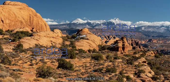 : USA, Utah. Vista of sandstone formations in the : USA, Utah. Vista of sandstone formations in the