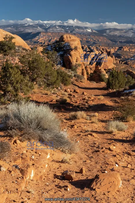 : USA, Utah. Vista of sandstone formations in the : USA, Utah. Vista of sandstone formations in the