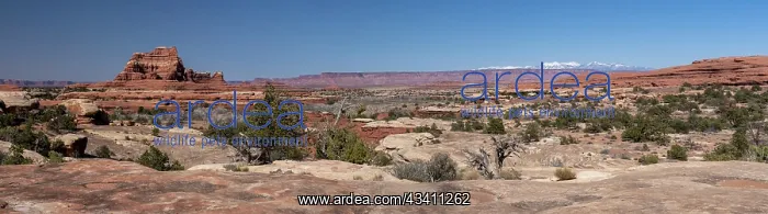 : USA, Utah. Vista from Wooden Shoe Arch, Canyonlands : USA, Utah. Vista from Wooden Shoe Arch, Canyonlands
