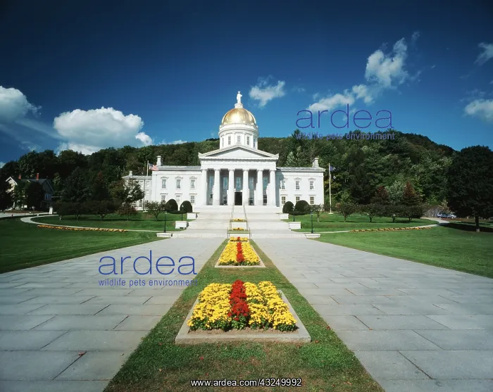 : USA, Vermont, Montpelier, Vermont State : USA, Vermont, Montpelier, Vermont State