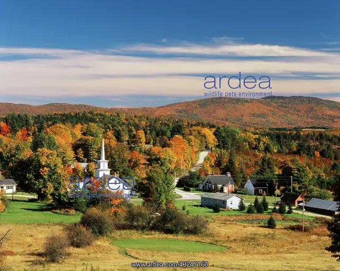 : USA, Vermont, Northeast Kingdom, View of : USA, Vermont, Northeast Kingdom, View of