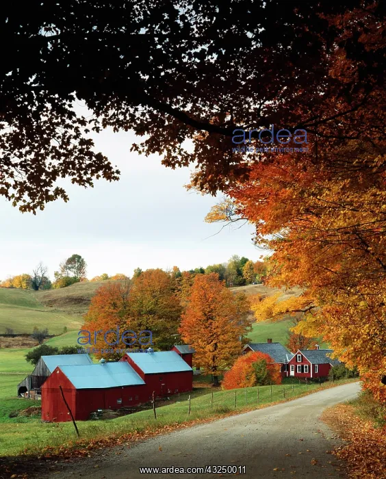 : USA, Vermont, Reading, The Jenne farm in : USA, Vermont, Reading, The Jenne farm in