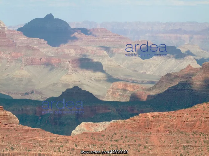 : USA - View of the Grand Canyon from Yavapai Point : USA - View of the Grand Canyon from Yavapai Point