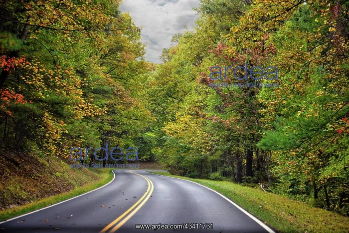 : USA, Virginia, Shenandoah National Park, fall color : USA, Virginia, Shenandoah National Park, fall color