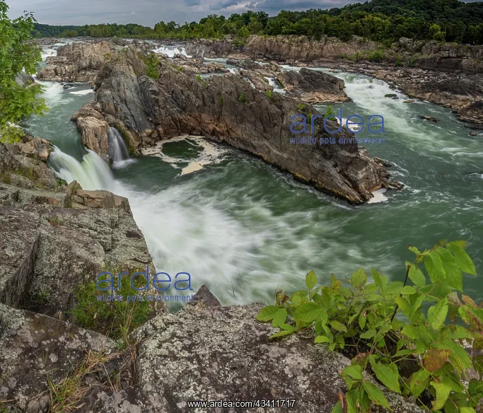 : USA, Virginia, waterfall on Potomac River, Great : USA, Virginia, waterfall on Potomac River, Great