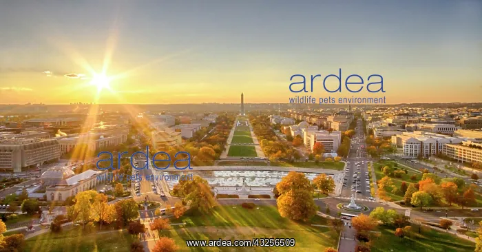 : USA, Washington DC. Autumn sunset over the : USA, Washington DC. Autumn sunset over the