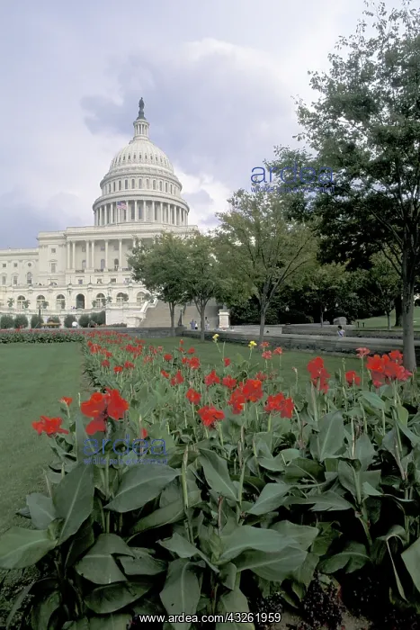 : USA, Washington DC. Capitol Building and : USA, Washington DC. Capitol Building and