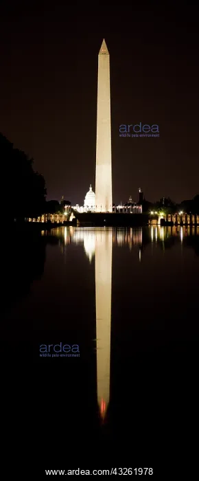 : USA, Washington, D.C. The Washington Monument : USA, Washington, D.C. The Washington Monument