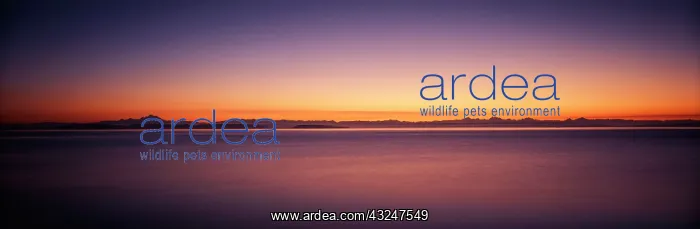 : USA, Washington, Juan de Fuca Strait, View : USA, Washington, Juan de Fuca Strait, View