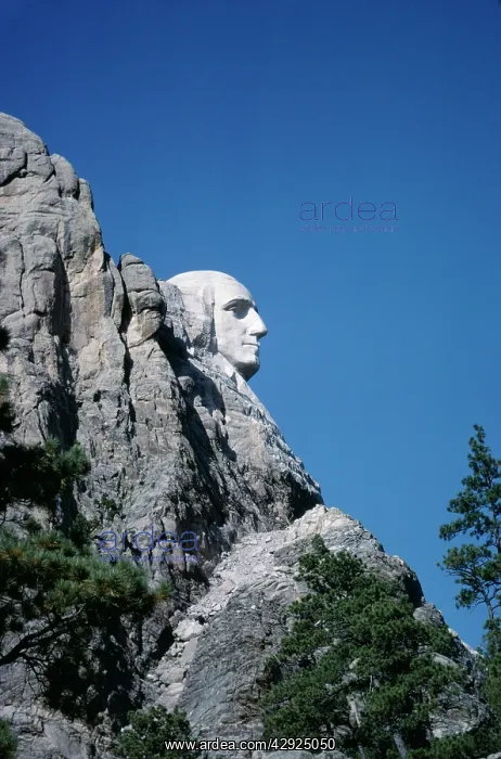 : USA - Washington Rock Sculpture. Presidents head : USA - Washington Rock Sculpture. Presidents head