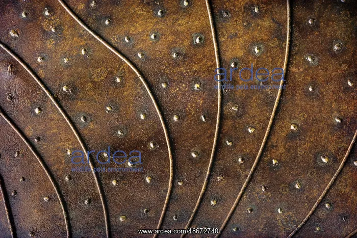 : USA, Washington State, Ashford. Detail of metal at Spirits : USA, Washington State, Ashford. Detail of metal at Spirits