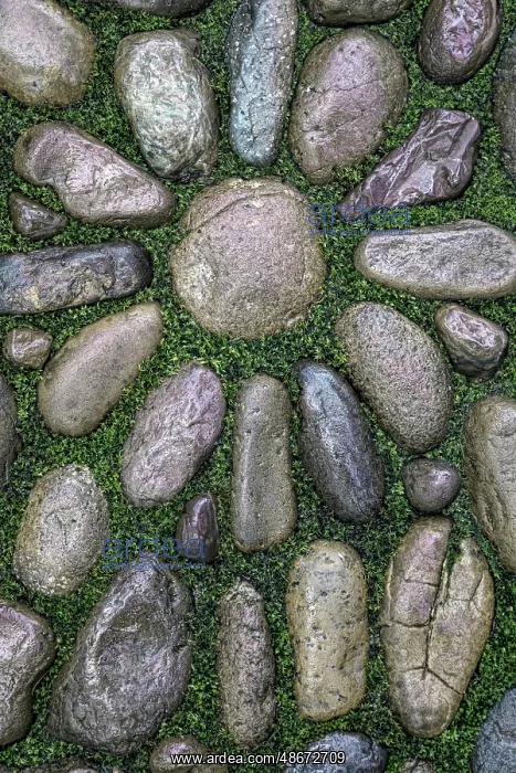 : USA, Washington State, Bainbridge Island. Detail of rock : USA, Washington State, Bainbridge Island. Detail of rock