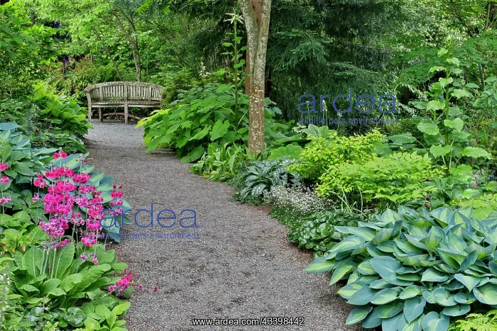 : USA, Washington State, Bellevue. Bellevue Botanical : USA, Washington State, Bellevue. Bellevue Botanical